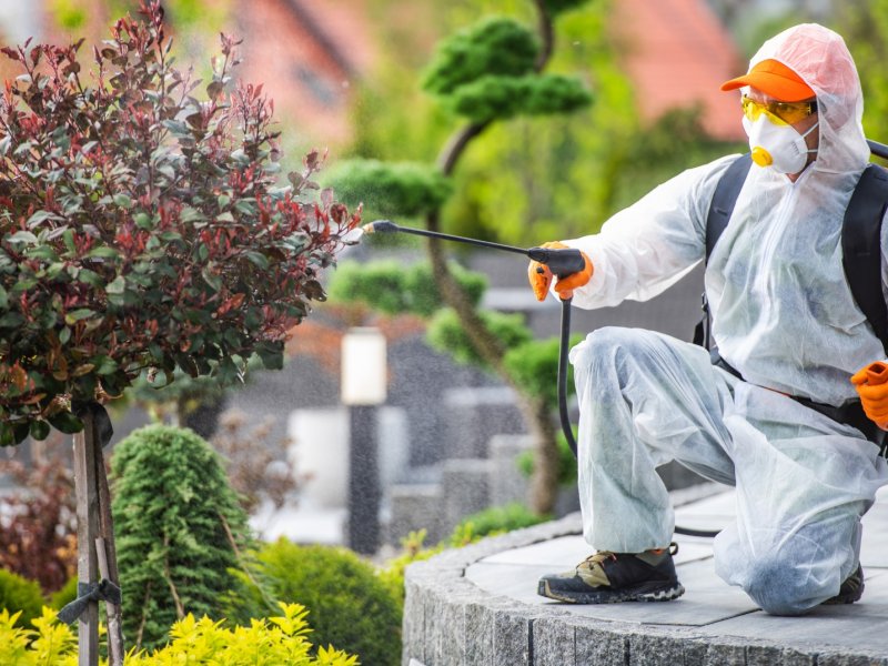 Yüreğir Haşere İlaçlama